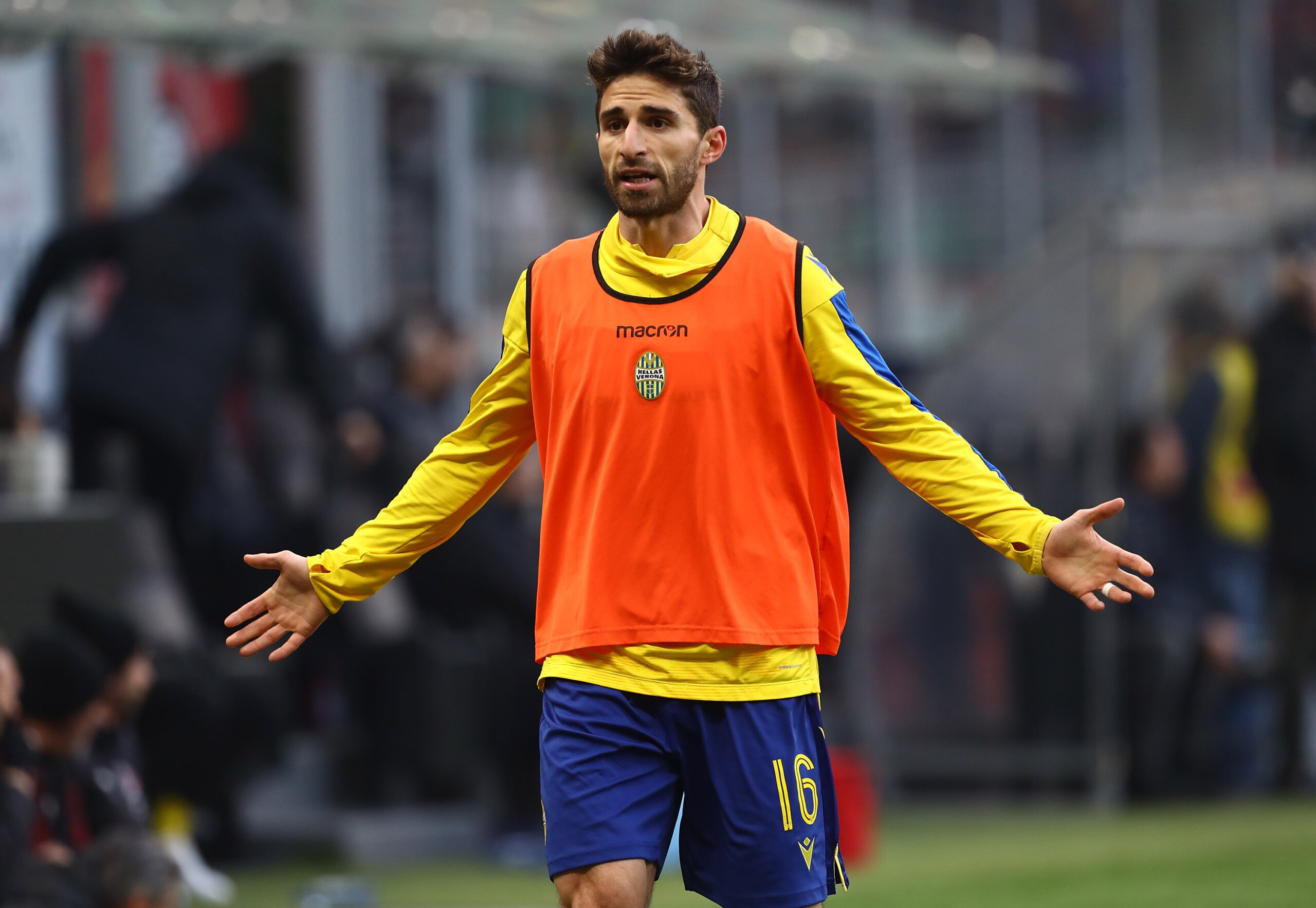 borini verona