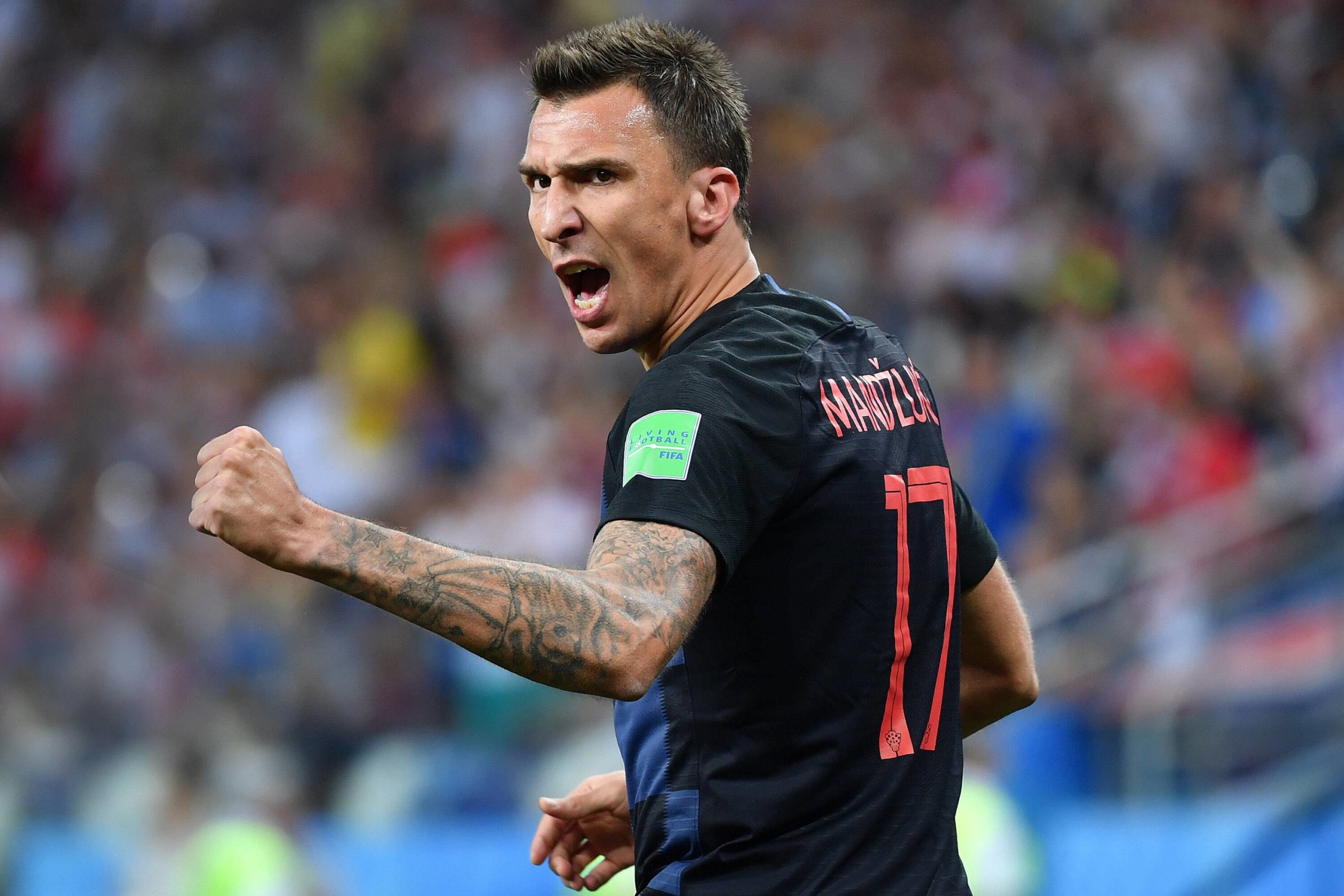 Mario Mandzukic