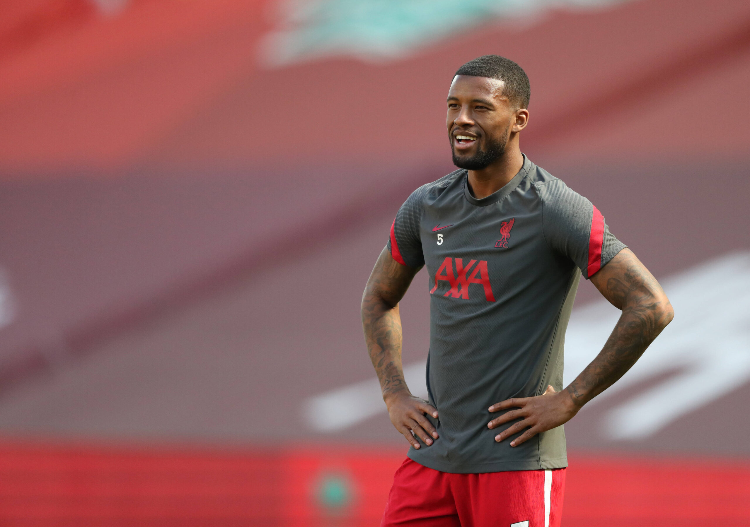 Wijnaldum