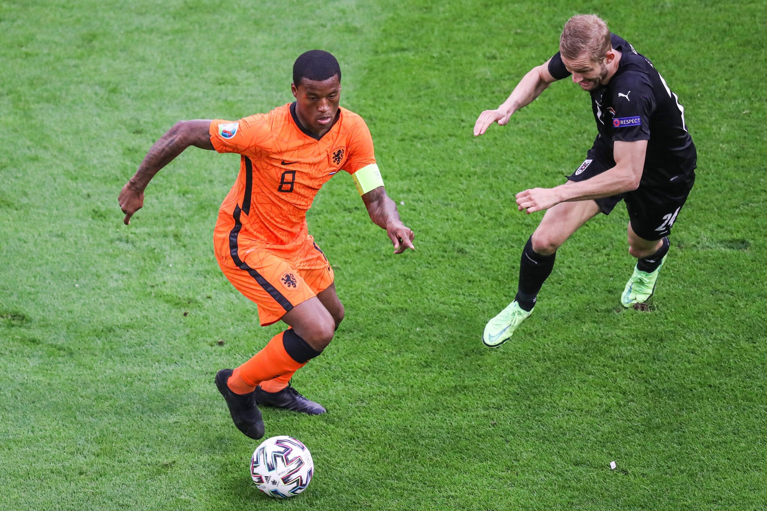 Wijnaldum