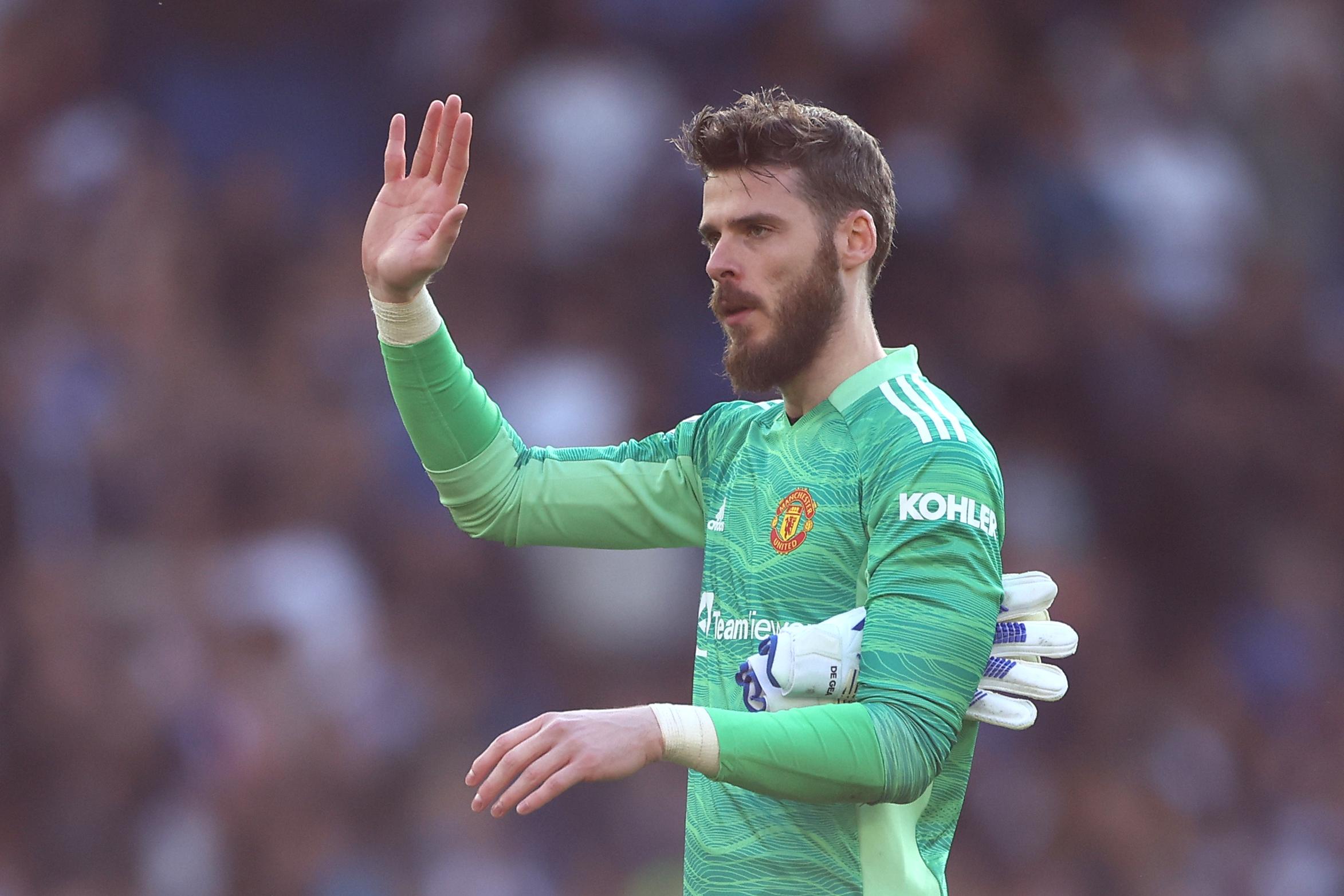 united vice de gea