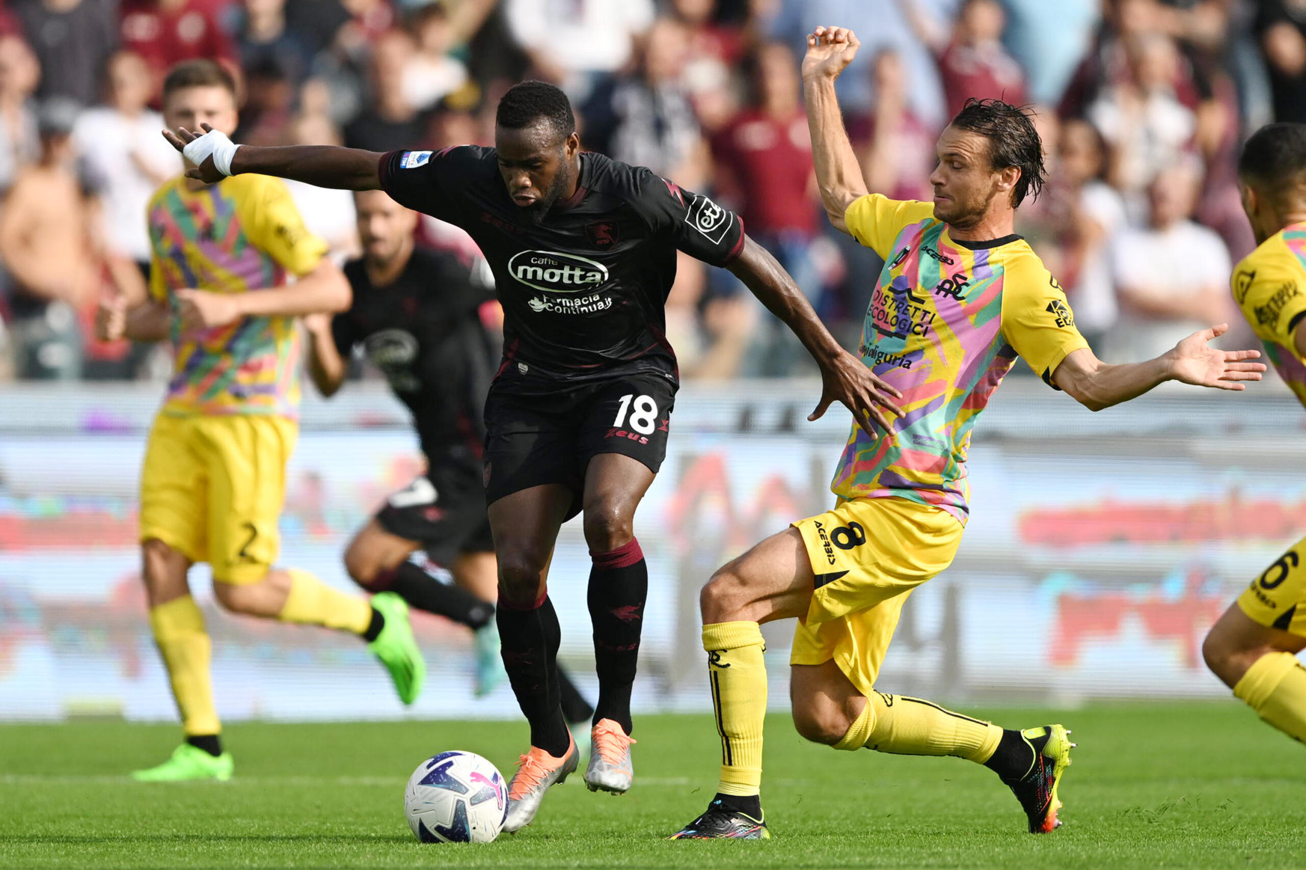 Salernitana Spezia