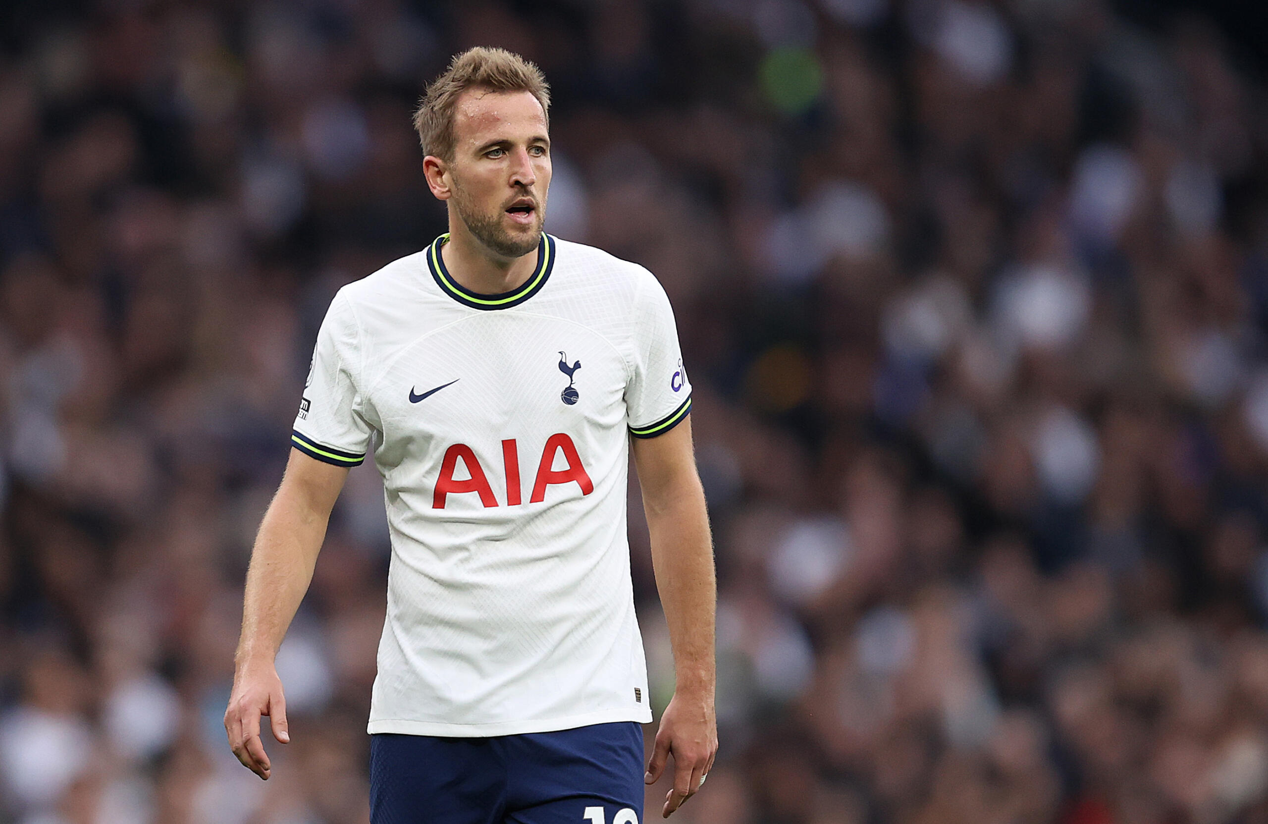 Tottenham Kane