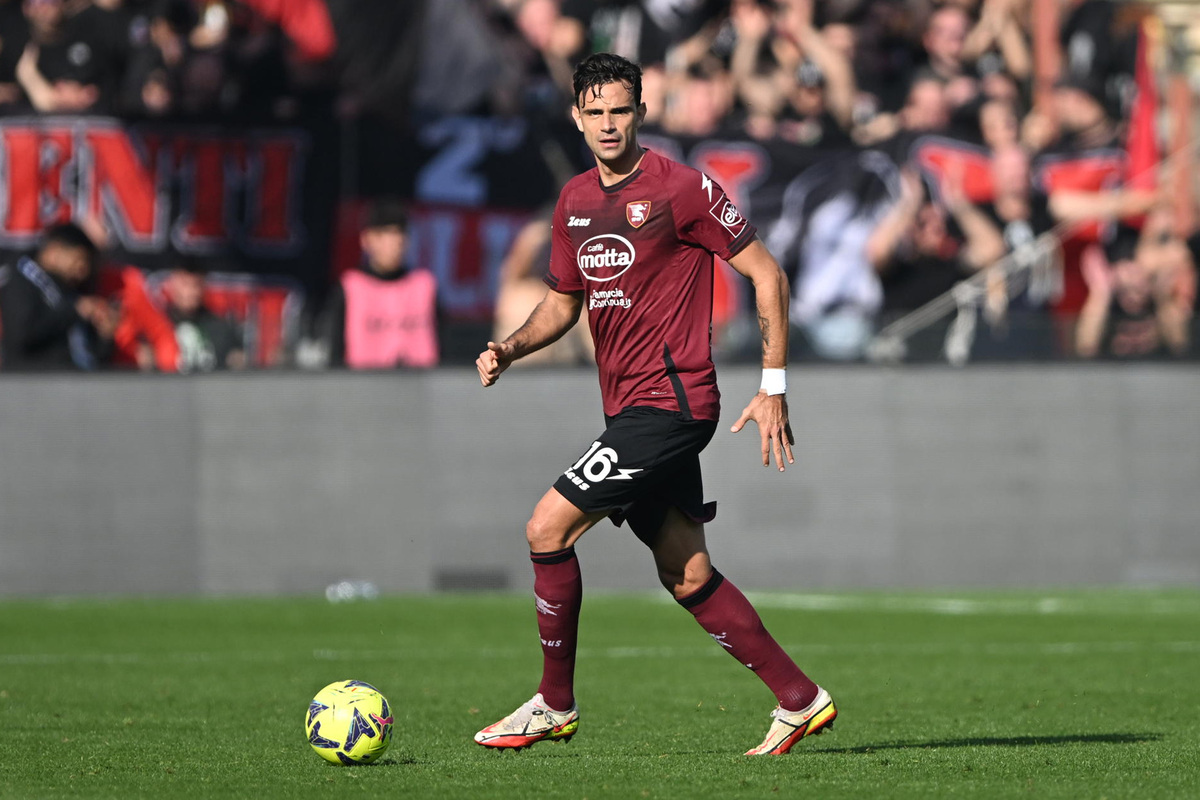 radovanovic salernitana