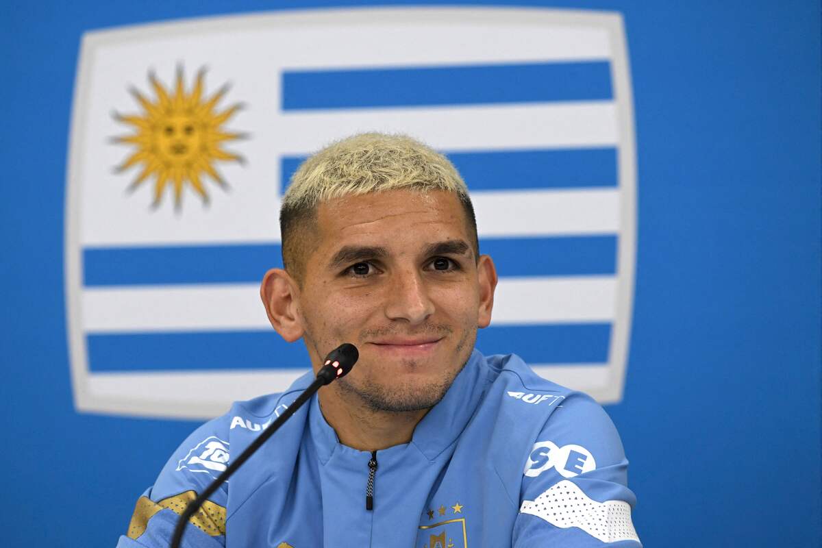 Torreira