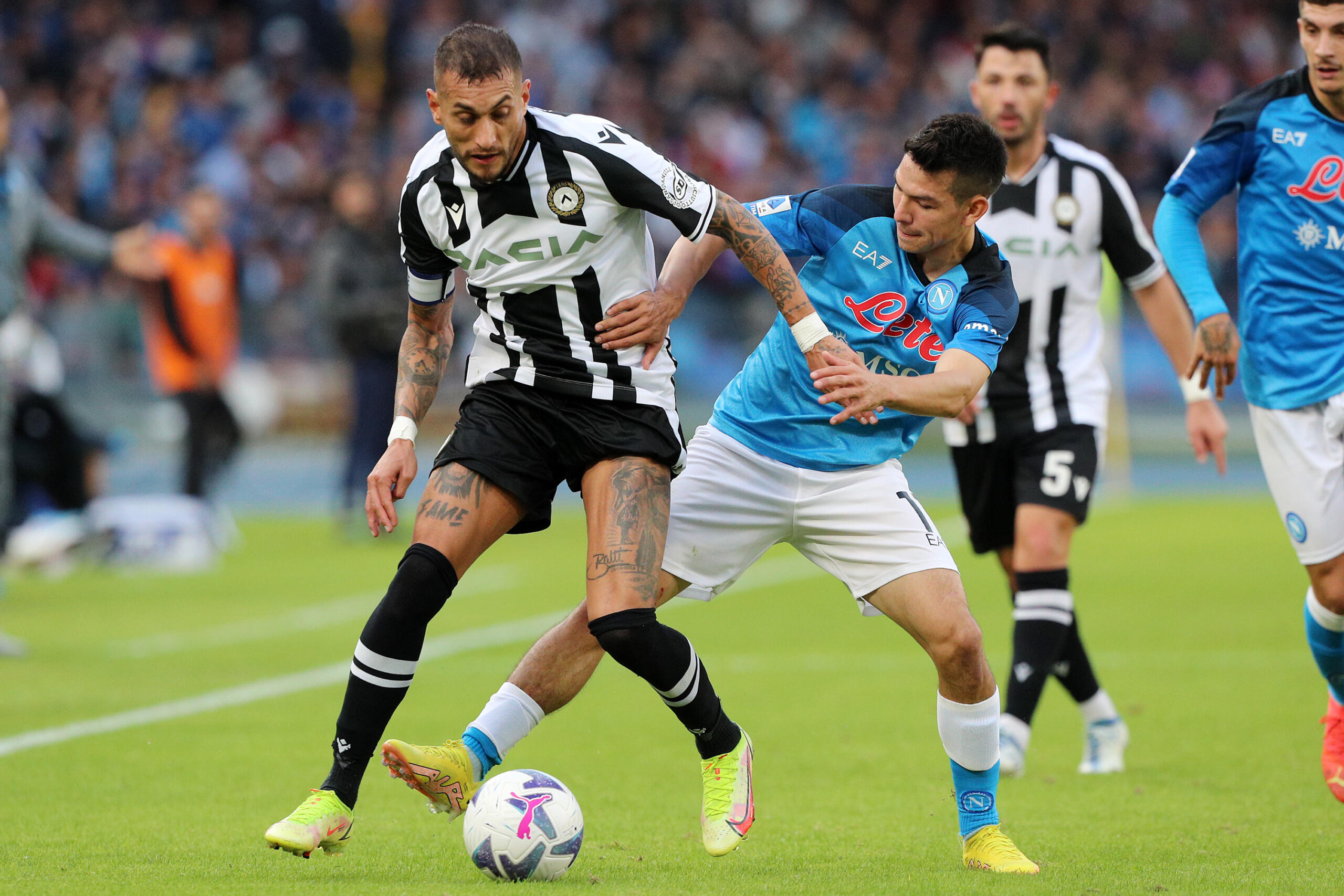 Udinese Napoli formazioni