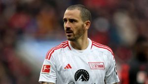 bonucci notizie