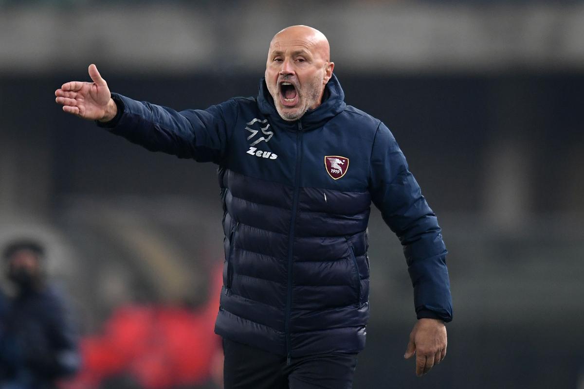 formazioni bologna salernitana