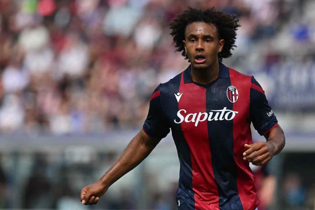 mercato Bologna Zirkzee