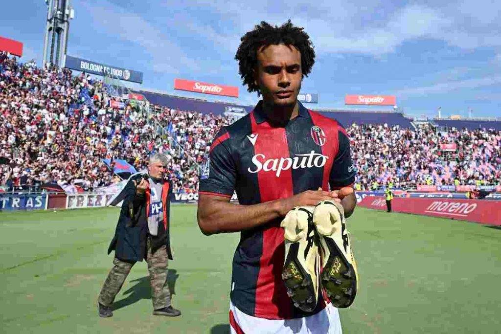 Mercato Bologna Zirkzee