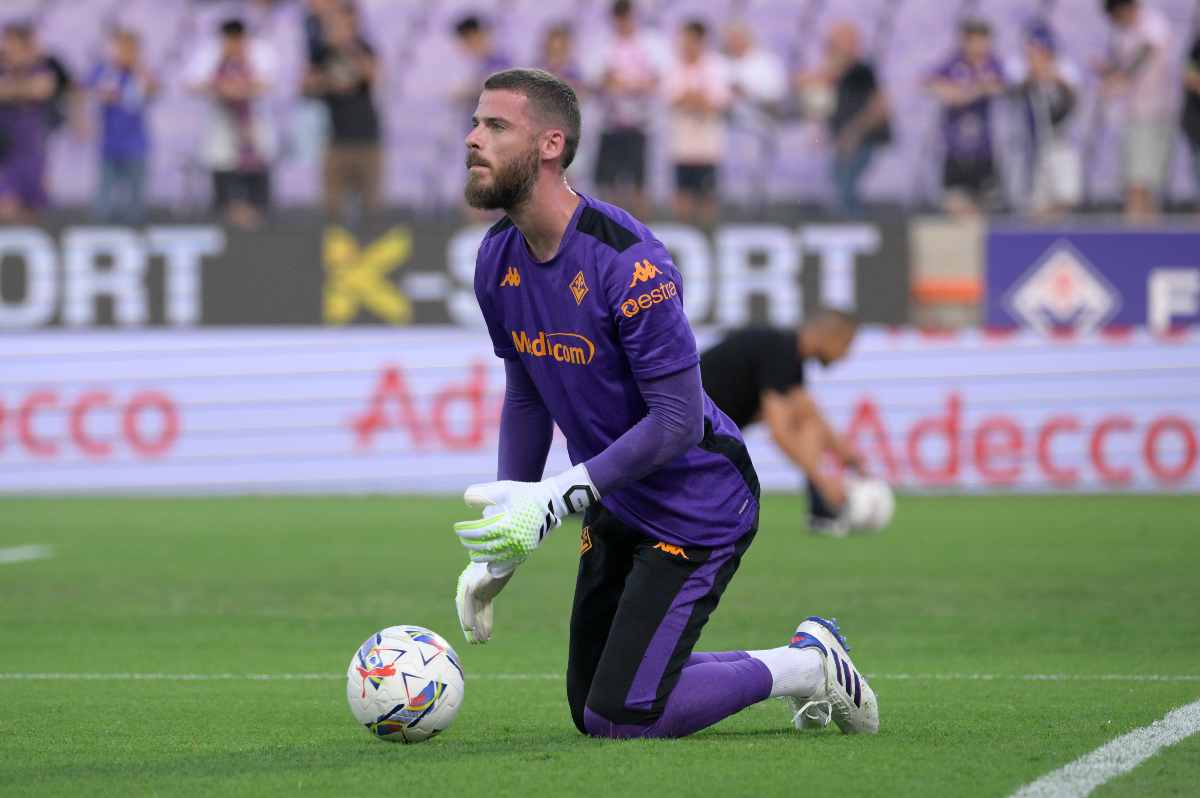 fiorentina de gea